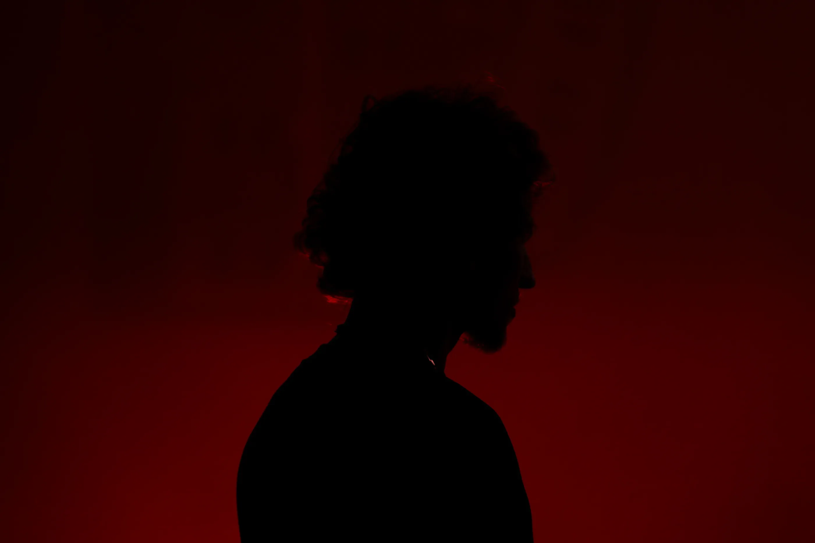 Musician silhouette against a red-lit stage background.